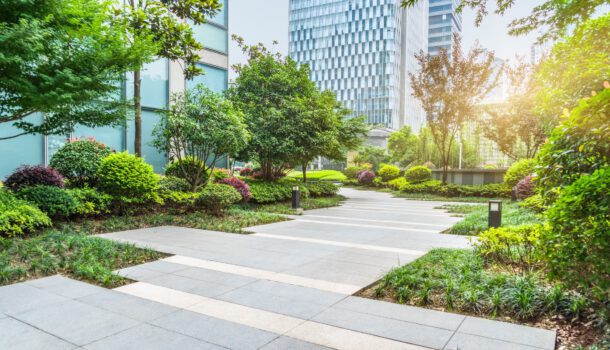 Landscaping