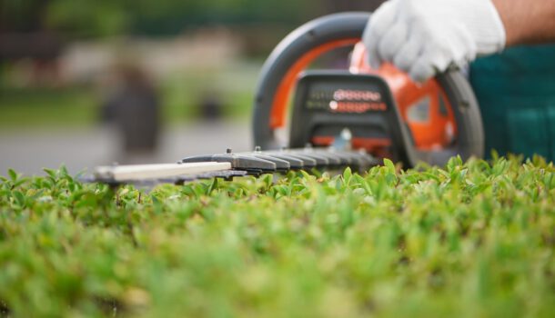 Hedge maintenance - PFM Group