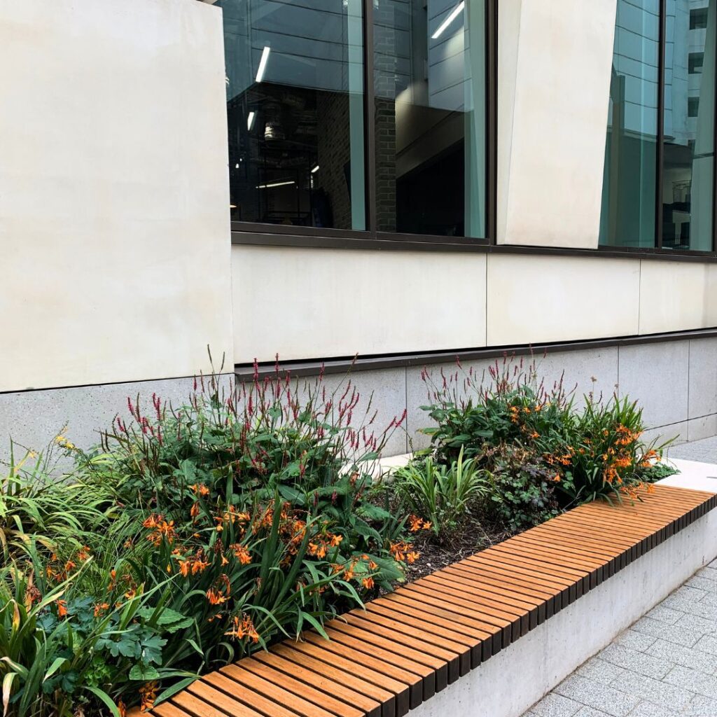 Flowerbed beside bench